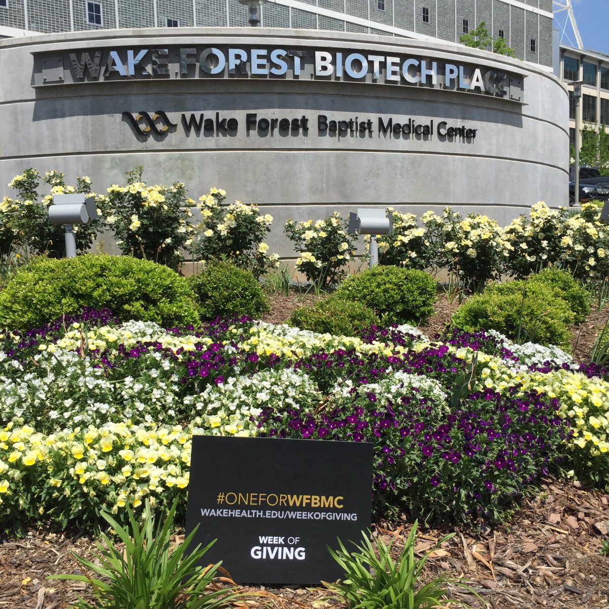 AtriumHealthWFB's tweet photo. Day 4 of Week Of Giving. What area of WFBMC do you support?#OneForWFBMC #OneForBrenner #OneForWFSM #OneForDeaconDocs https://t.co/Xz3gVwBvwd