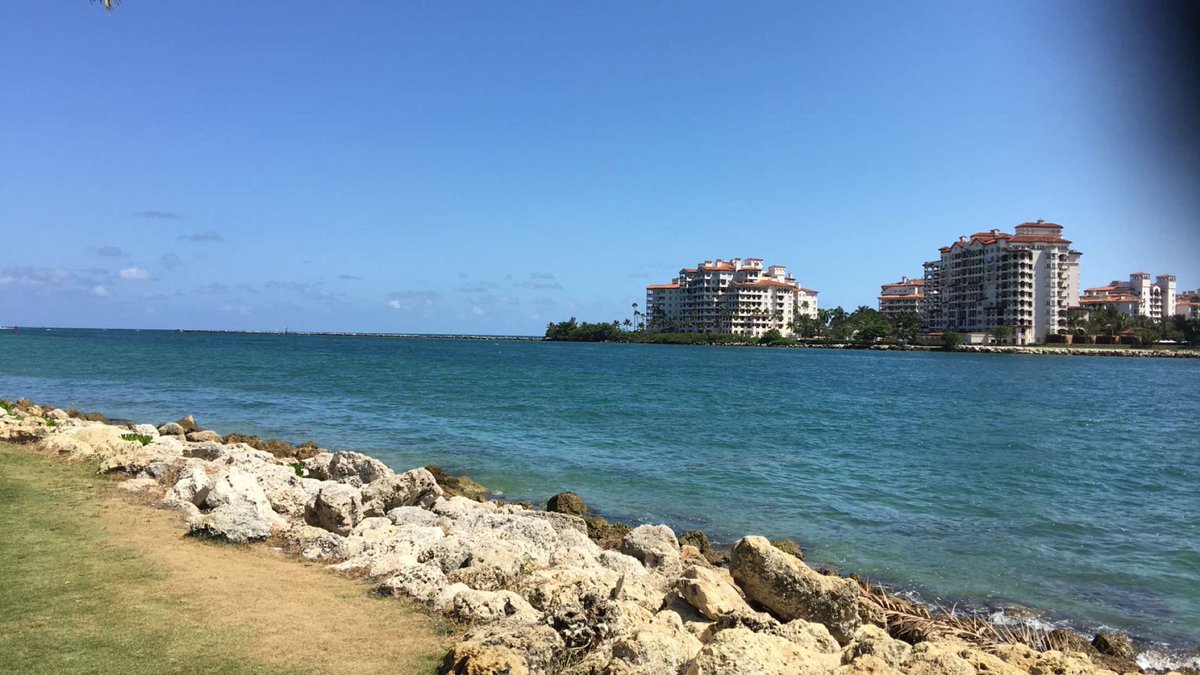 PocahuntasZay's tweet photo. #joggingviews https://t.co/s8UU9HJdpw
