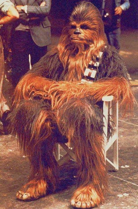 MakingTheMovies's tweet photo. Chewbacca takes a break, 1976.

#BehindTheScenes https://t.co/4JlJiErHbt