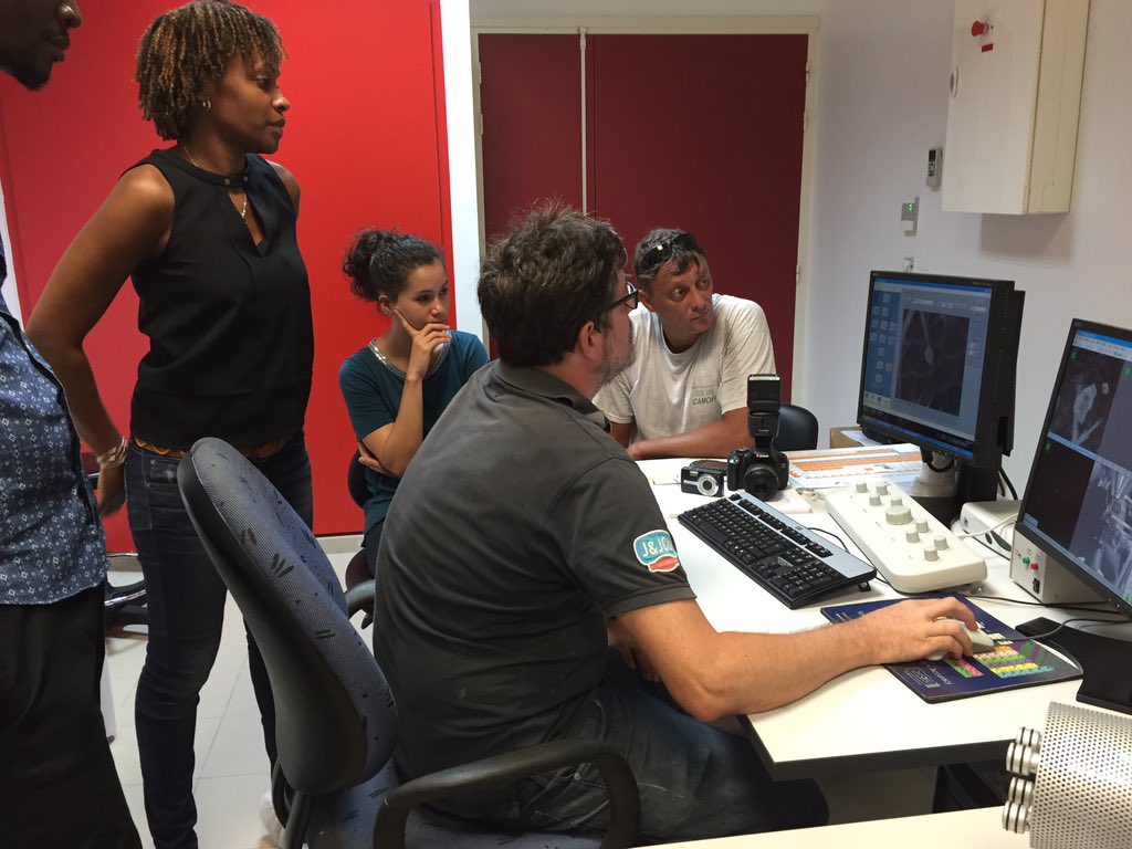 benjaminPOIROT's tweet image. Transfert de techno avec l&apos;UAG de la méthode #Apidiag pour l&apos;analyse de particules sur abeille. #apilab #nbc #intec