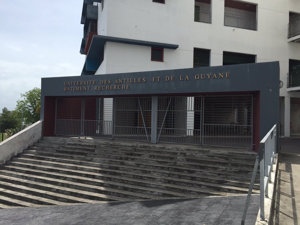 benjaminPOIROT's tweet image. Transfert de techno avec l&apos;UAG de la méthode #Apidiag pour l&apos;analyse de particules sur abeille. #apilab #nbc #intec