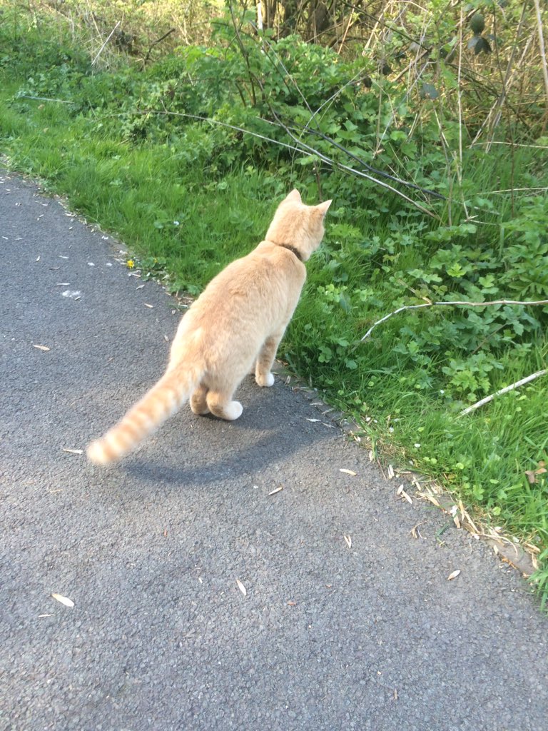 reverse_ted's tweet image. I can see you mouse 🐭