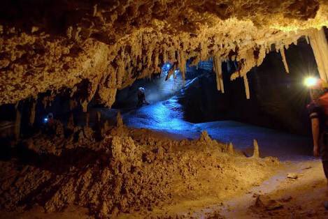BustamanteNLMX's tweet photo. El mundo subterráneo nunca deja de sorprender, jamás sabes que encontrarás.. 

#PalmitoCaves 
#GrutasDelPalmito https://t.co/giVU488i2M
