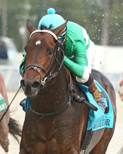 ABRLive's tweet image. Want to bet the @KentuckyDerby? Be sure to use our Cheat Sheet to get the info you need: americasbestracing.net/the-sport/2016…