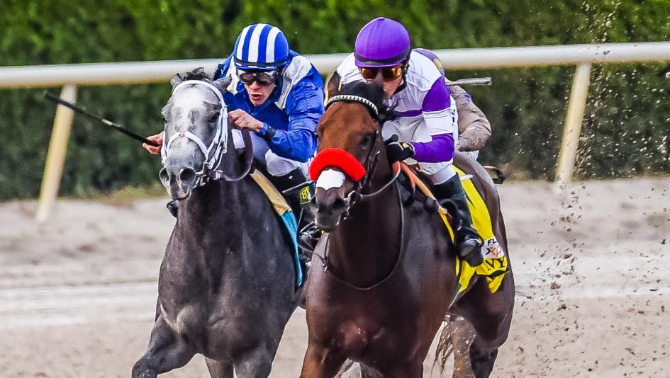 ABRLive's tweet image. Want to bet the @KentuckyDerby? Be sure to use our Cheat Sheet to get the info you need: americasbestracing.net/the-sport/2016…