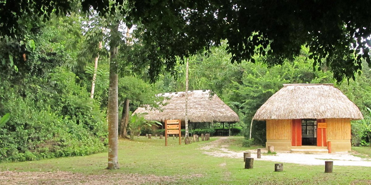 Sectur_Chiapas's tweet photo. #MiComplementoEs disfrutar de la naturaleza. En #Chiapas tenemos muchas opciones como #CampamentoRíoLacanjá https://t.co/EZaZ9a2rKr