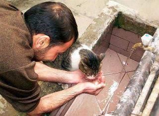 AbdElrhmanEtraf's tweet photo. لا تحقرن من المعروف شيئاً .. فإنك لا تدري أي عمل يدخلك الجنة ! ربَّ عمل صغير يخالطه إخلاص تُفتح لك به أبواب الجنان. https://t.co/WCRN8ETz7n