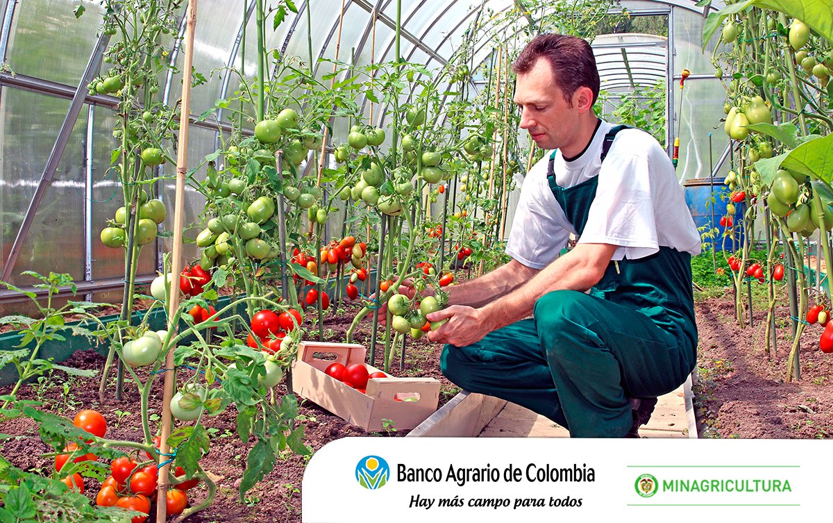 BancoAgrario's tweet photo. ¿Por qué ahorrar? Tener un capital le permitirá aprovechar oportunidades de inversión o emprender un negocio propio. https://t.co/yChdRbAyTB