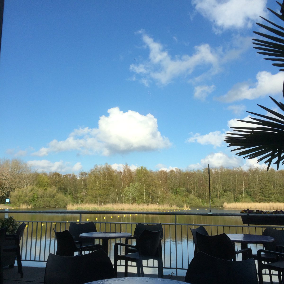 Bij <a href="/IJgenweisStreek/">IJgenweisStreekbos</a> is wachten op <a href="/MiekeBoots/">Mieke Boots</a> helemaal niet vervelend hoor :) #uitzicht