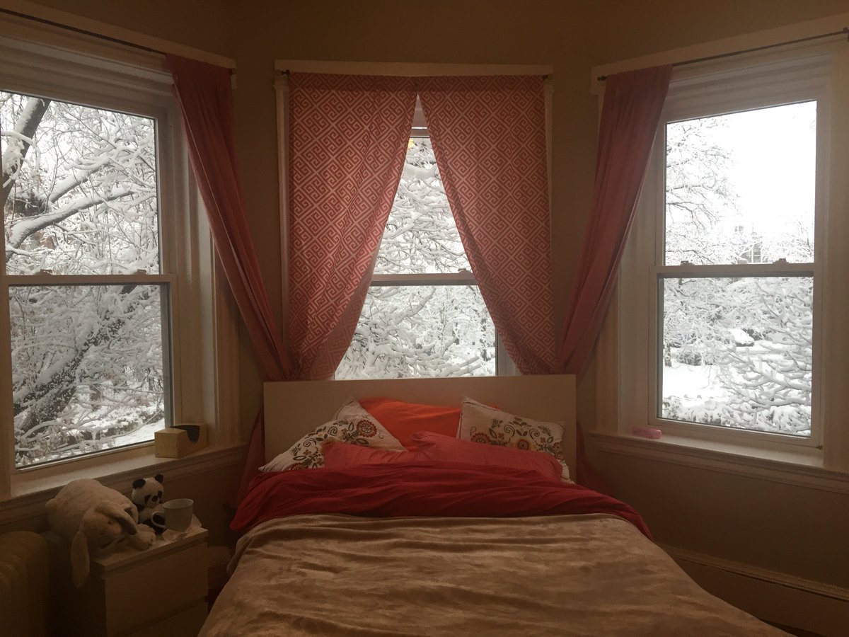 biodamonster's tweet photo. Perks of #Boston winters: beautiful views and makeshift freezers! #tbt #WhyILoveBoston https://t.co/SCv5sj6UGr
