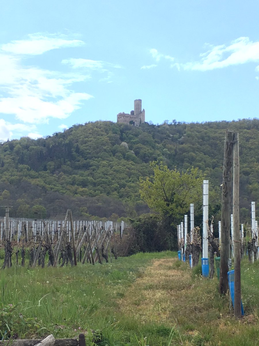 ythylolyn's tweet photo. 5è jour sur le chemin de #compostelle : 28km, C long ! Heureuse d'arriver au CCA Rando de Chatenois ! @iCompostelle https://t.co/guoIdPTrb9
