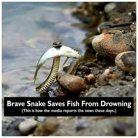 caroluscharles's tweet photo. https://t.co/dG10XtvDlg
