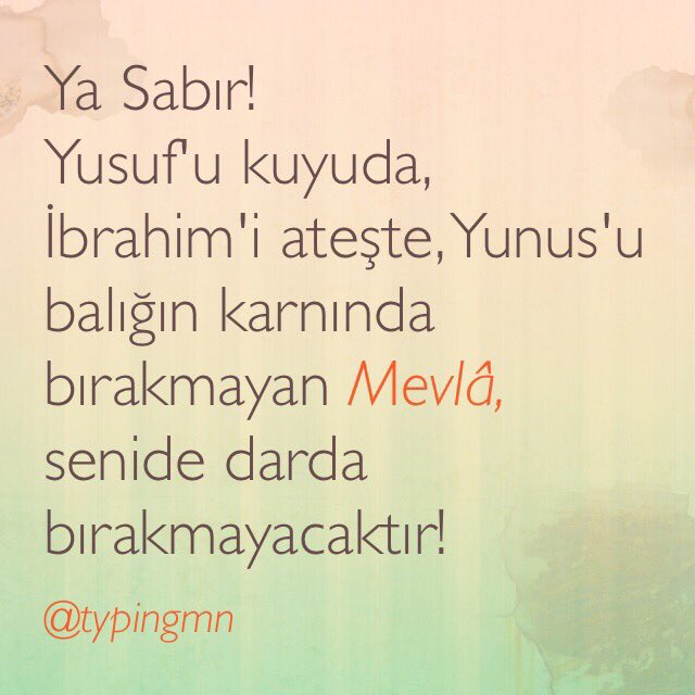 typing man™ tweet media