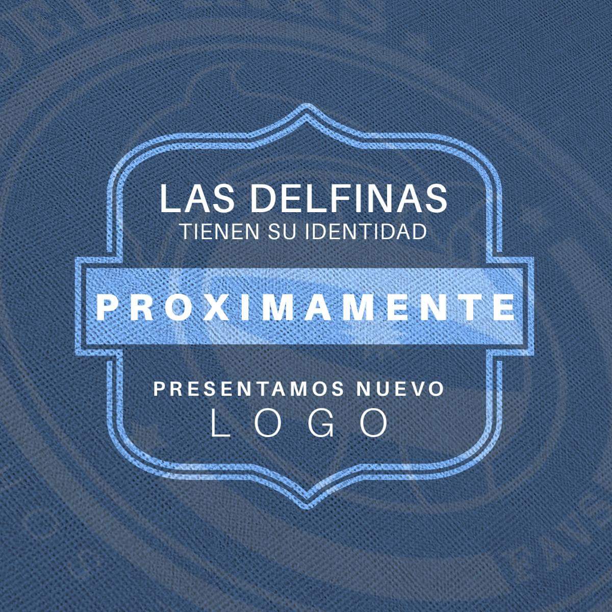 Las_Delfinas's tweet photo. La Selección Nacional De Voleibol de Sordas, crece cada día GRACIAS A VOS!!!

Nueva imagen, nuevos logros!! https://t.co/9zKOUcBtzE