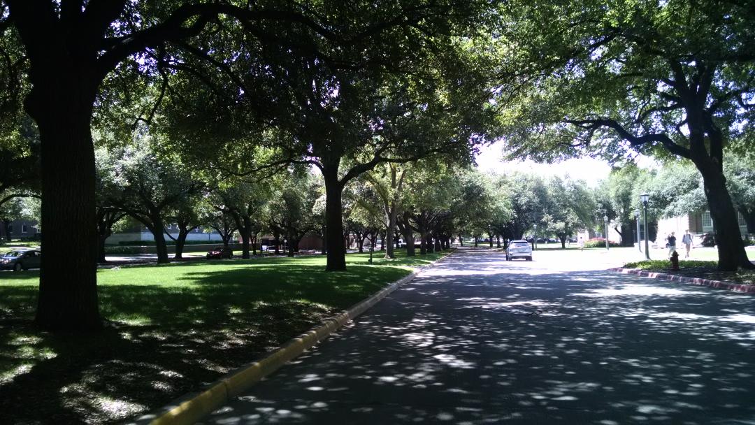 SMUVPSAtweets's tweet photo. Beautiful Bishop Boulevard! @SMU https://t.co/qUxAR3AqWD