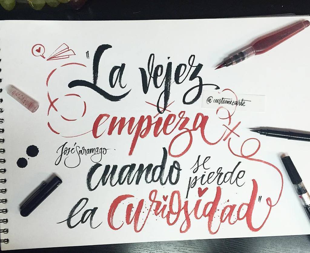 customizarte's tweet photo. "La vejez empieza cuando se pierde la curiosidad". - José Saramago🎨✍🏻
Feliz tarde, familia guapa! https://t.co/ED9hI7eOkW