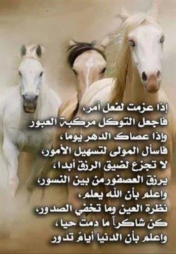 abomuhammad24 tweet picture