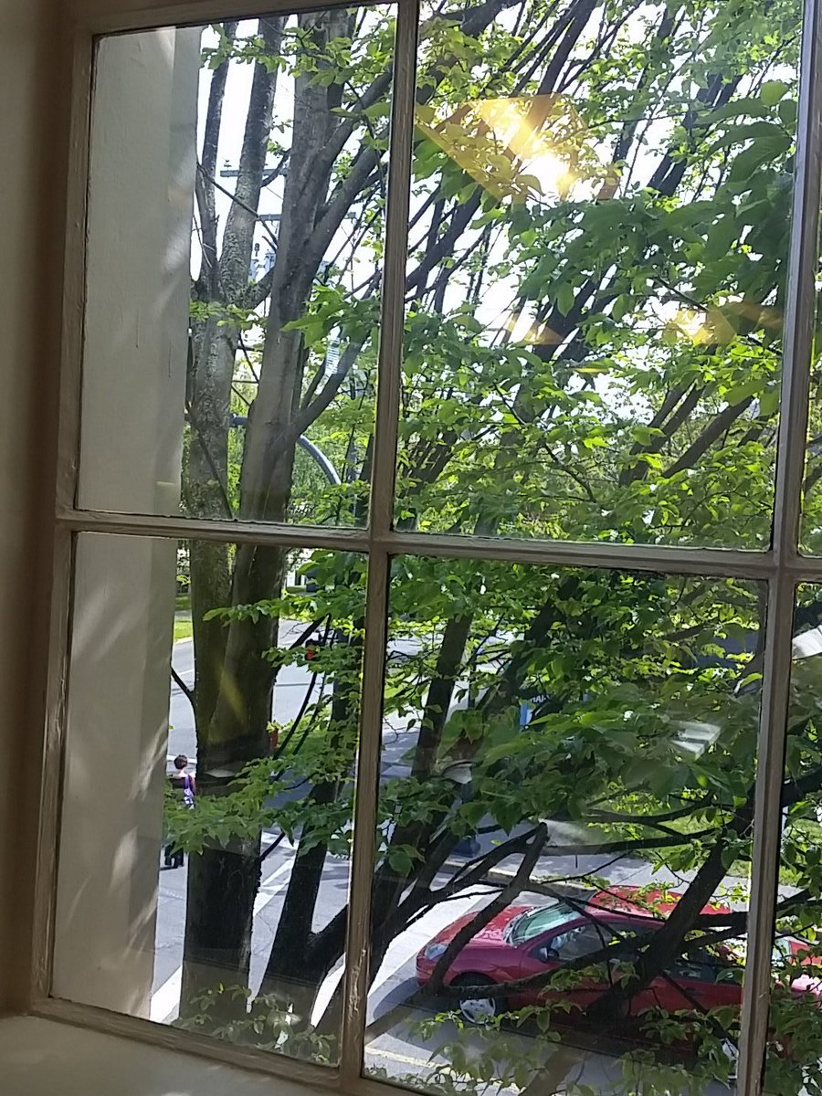 TickleTreeDS's tweet photo. View from my day job today. Another gorgeous day in #VictoriaBC #willthesunshineeverend? #loveit https://t.co/YE2OlgQWbN