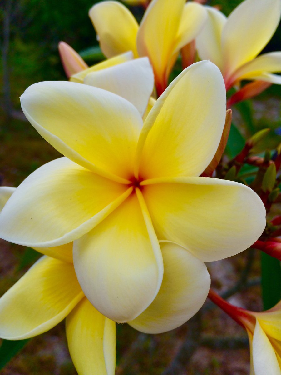 j_ramer's tweet image. Thinking about you  :) @ItsmeggNicole