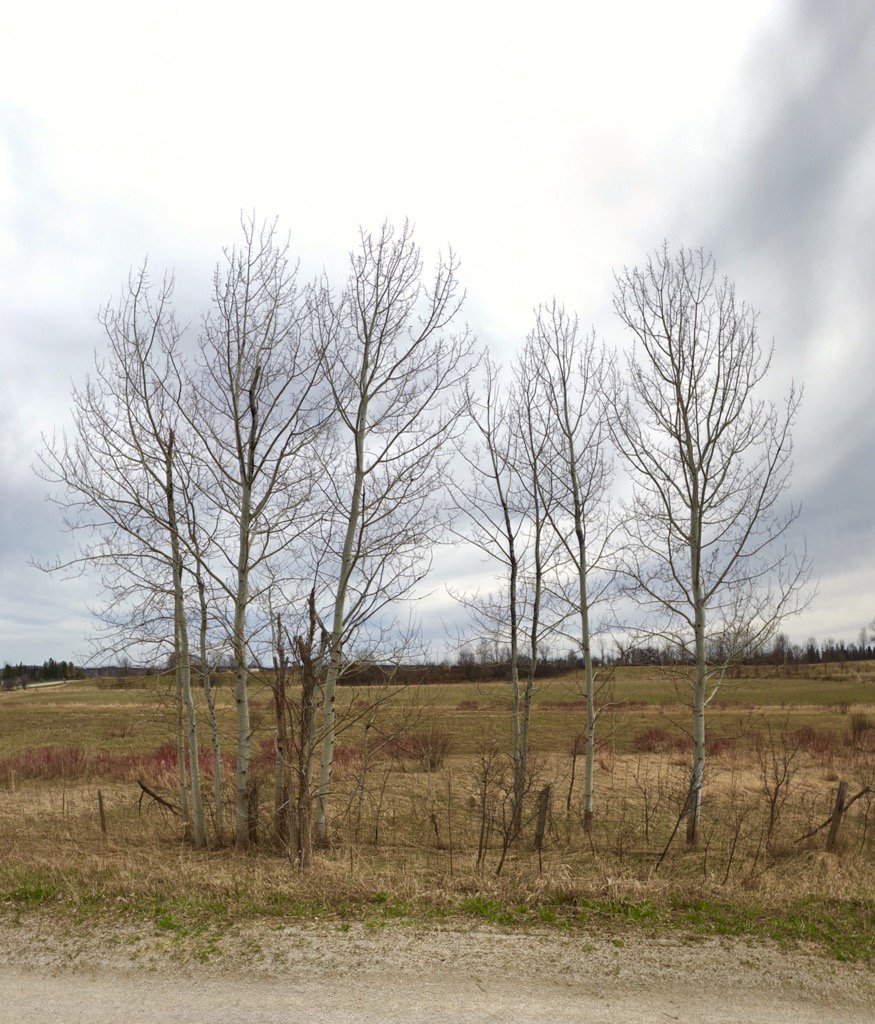mcmillanmedia's tweet photo. 12 shots stitched together with #AutoStitch. #shotoniphone6s https://t.co/KED431wWTb