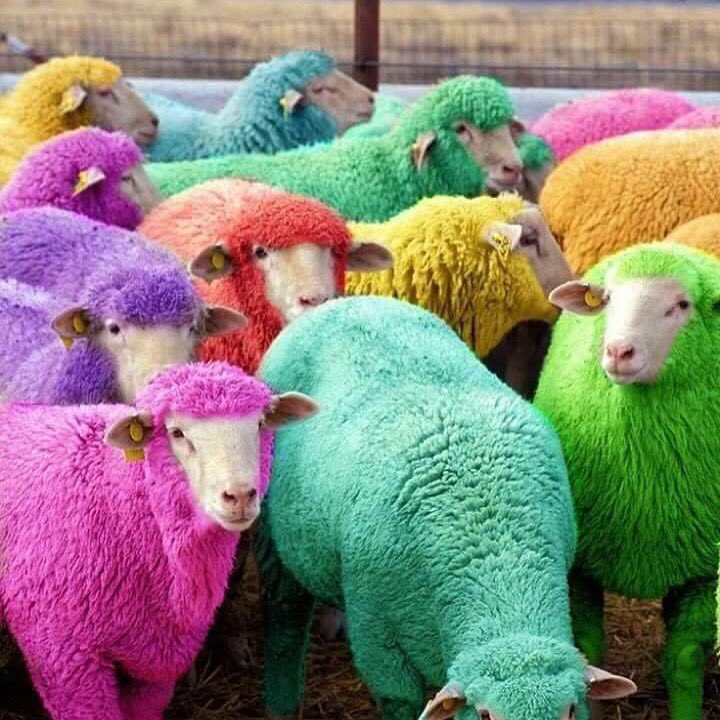 VSarmknitting's tweet photo. Happy Easter .. 🌺 by 🆚 https://t.co/rDljer7BC9