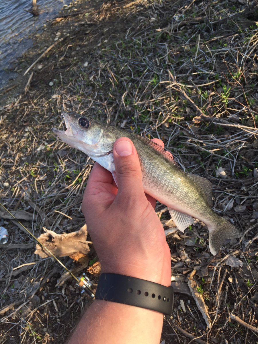 ictfloattube's tweet photo. Just showing off my little buddy #fishkansas https://t.co/etRiT5oL20