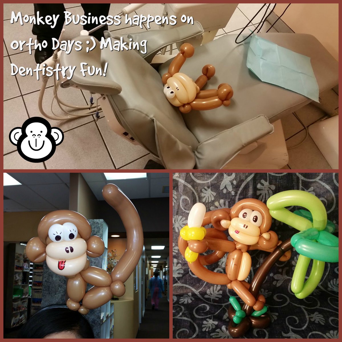 RonAbaroDDS's tweet photo. Monkey Business!!!
#SoCute! https://t.co/s7mhtzUSNd