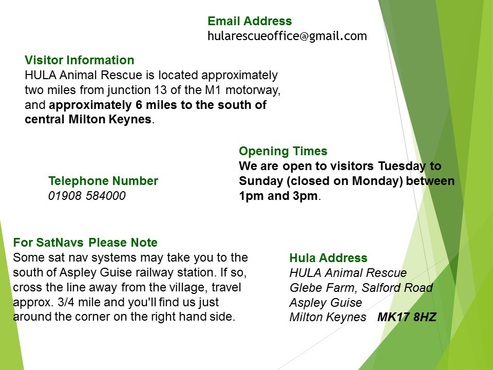 hularescue's tweet image. It is heartbreaking &amp;amp; so sad #BRUCE is still looking 4 a #FosterHome Fostering is vital &amp;amp; SO worthwhile Pls consider