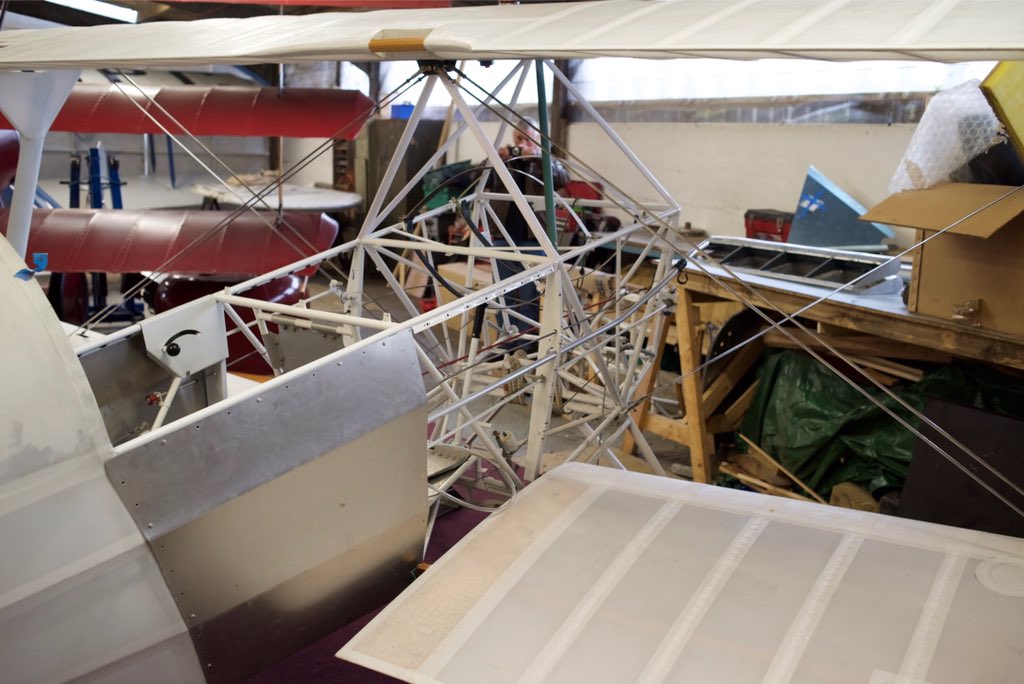 SpiritofAyre tweet media