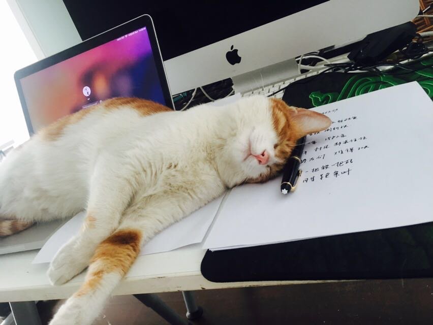 DonEvansWm's tweet photo. “我们这个时代让人困扰的事之一是: 那些対事确信无疑的人其实很蠢，而那些富有想象力和理解力的人却总是怀疑和优柔寡断” https://t.co/cPFxClo3bi
