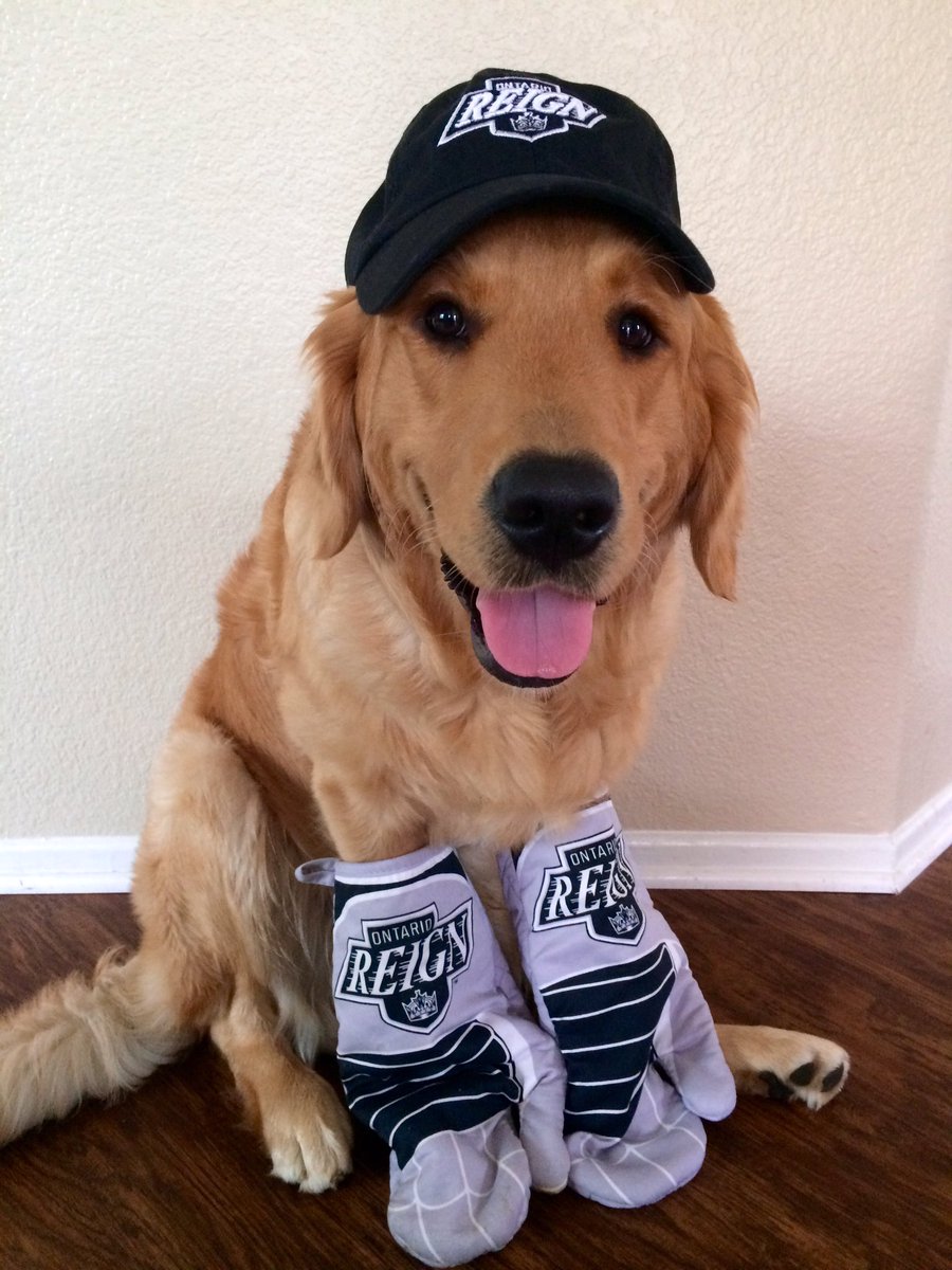 Paige Dowd tweet media