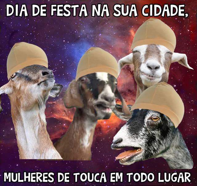 Evanildo da Silva (@evanildo4480) on Twitter photo 