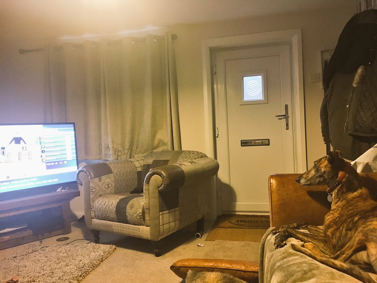 megan_boon's tweet photo. Got star cash Simon over for a sleep over and he is happy and focused  watching @RPGreyhounds #greyhoundracing https://t.co/YHHgl8zVCP