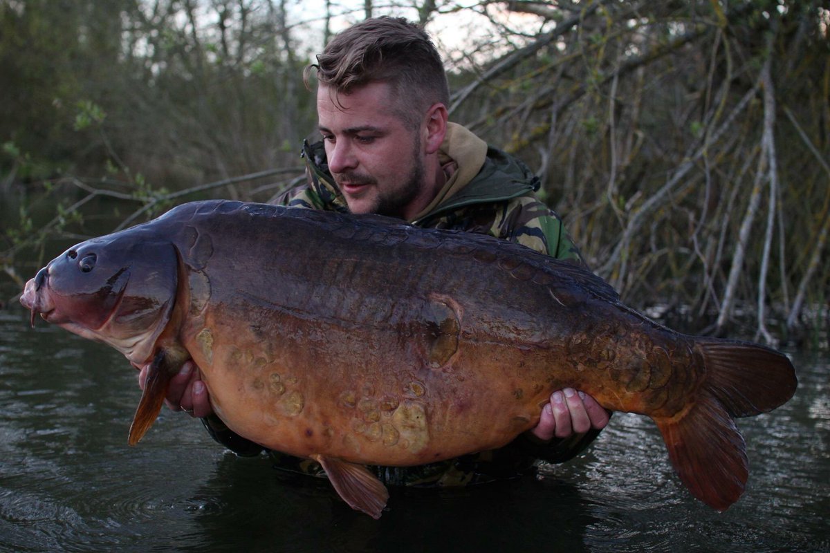 StickyOfficial's tweet photo. Here he is, Scott Lloyd with the impressive ‘Bitemark’ at 45lb 12oz. Well done again Scott, top angling!  #Manilla https://t.co/j0oJtOXXl1