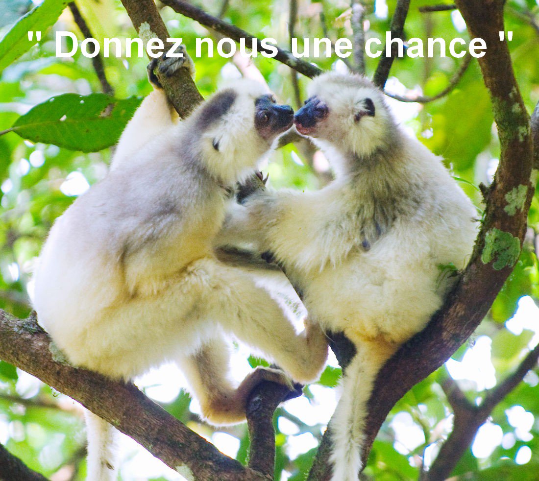 Vers un autre Monde tweet media