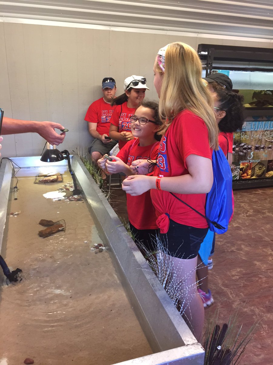 Amy Henry tweet media