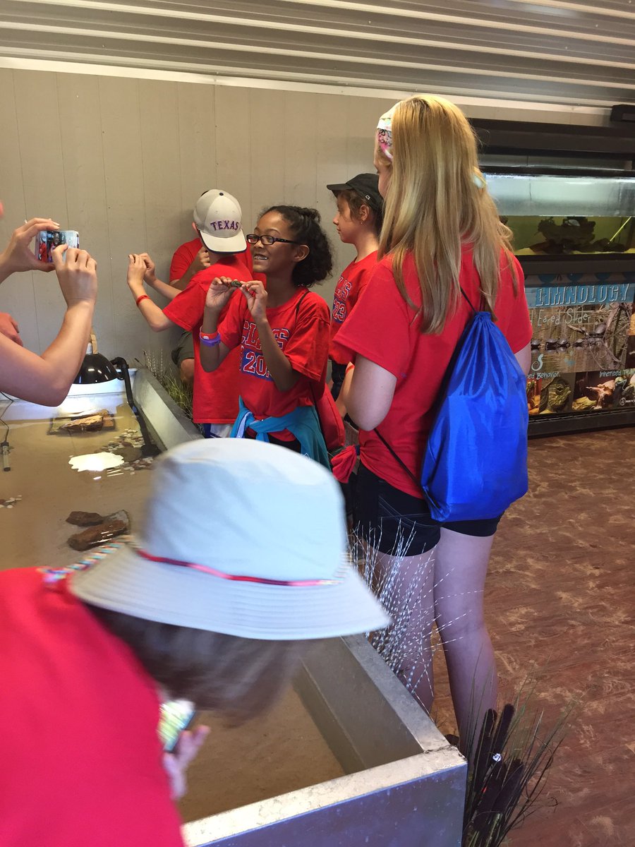 Amy Henry tweet media