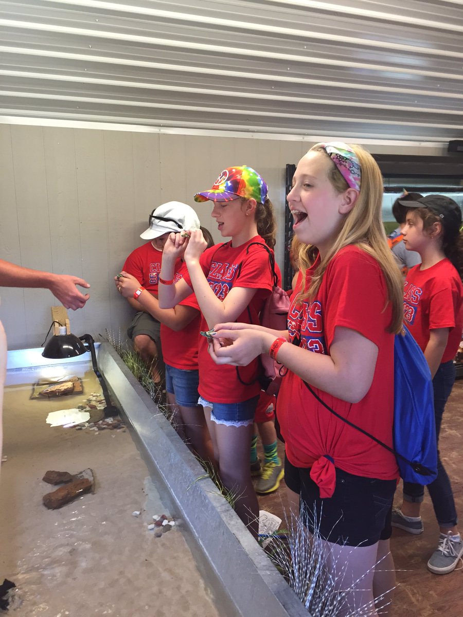 Amy Henry tweet media