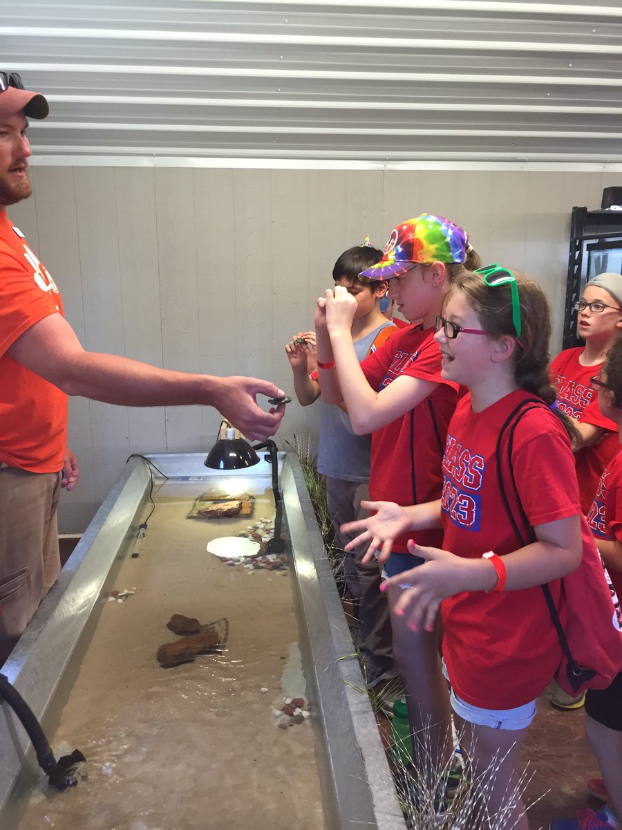 Amy Henry tweet media