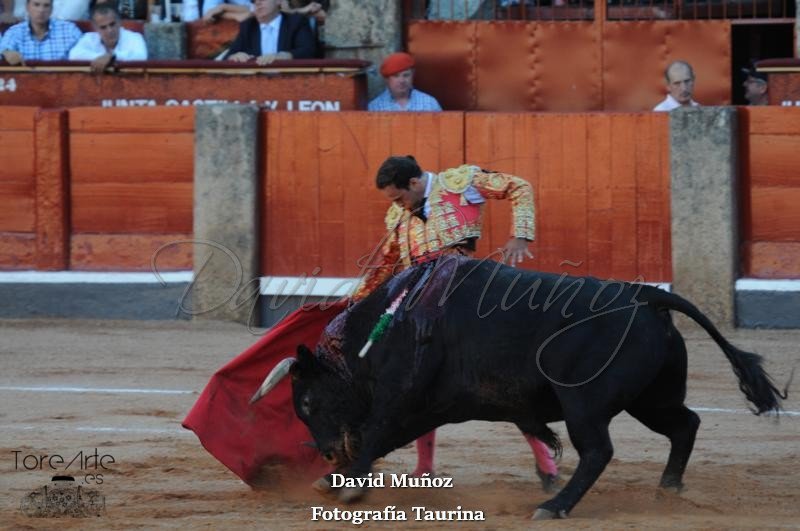 Qué ganas hay de ver de nuevo a este torero. #FuerzaFerrera <a href="/PT_A_FERRERA_CS/">PCTANTONIOFERRERACS</a> <a href="/ferreratorero/">Antonio Ferrera</a>
