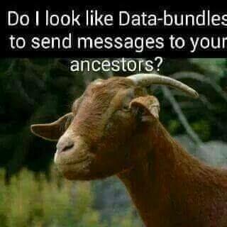 DipuoPetite's tweet photo. #stopbothering poor goats...Hahaha https://t.co/PSbvVuhiVF