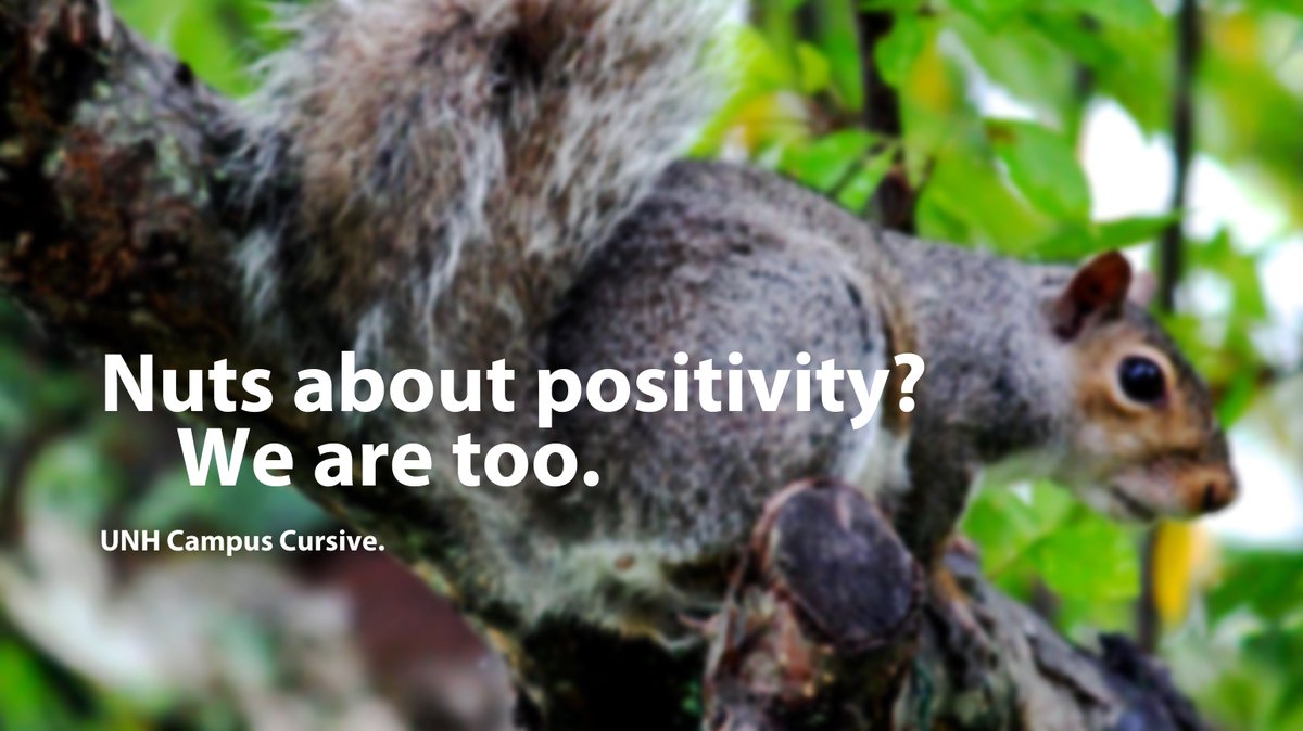NHCampusCursive's tweet image. It&apos;s Thursday... you know what that means. #positivevibes
