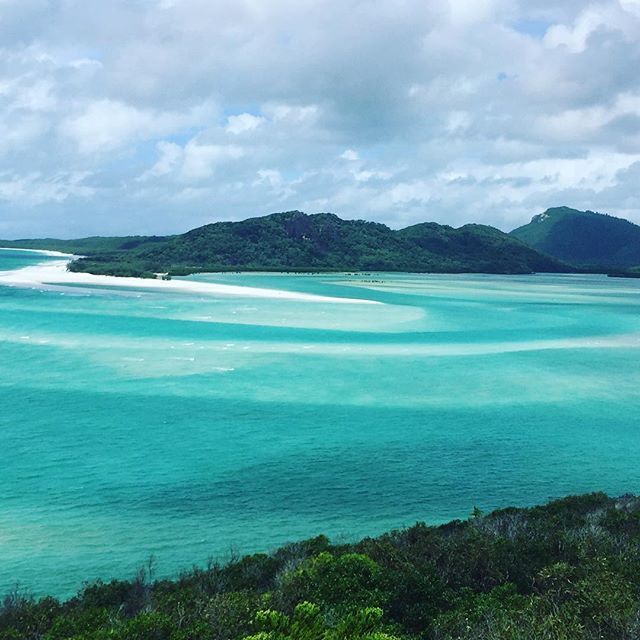 SeaLifeProject's tweet photo. #beachlife #sunbum #sunbumsunscreen #islandlife #greatbarrierreef #whitehavenbeach #island… https://t.co/cYYD4ROkAq https://t.co/lkRlI6bdCk