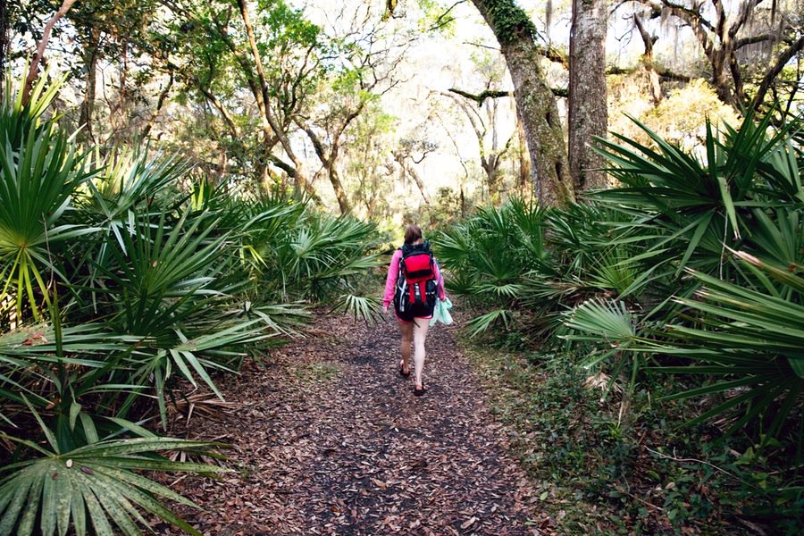 ExploreGeorgia's tweet photo. The 10 best outdoor adventures in Georgia >> https://t.co/qJYyEG5IpF https://t.co/GmSR1GA3Um