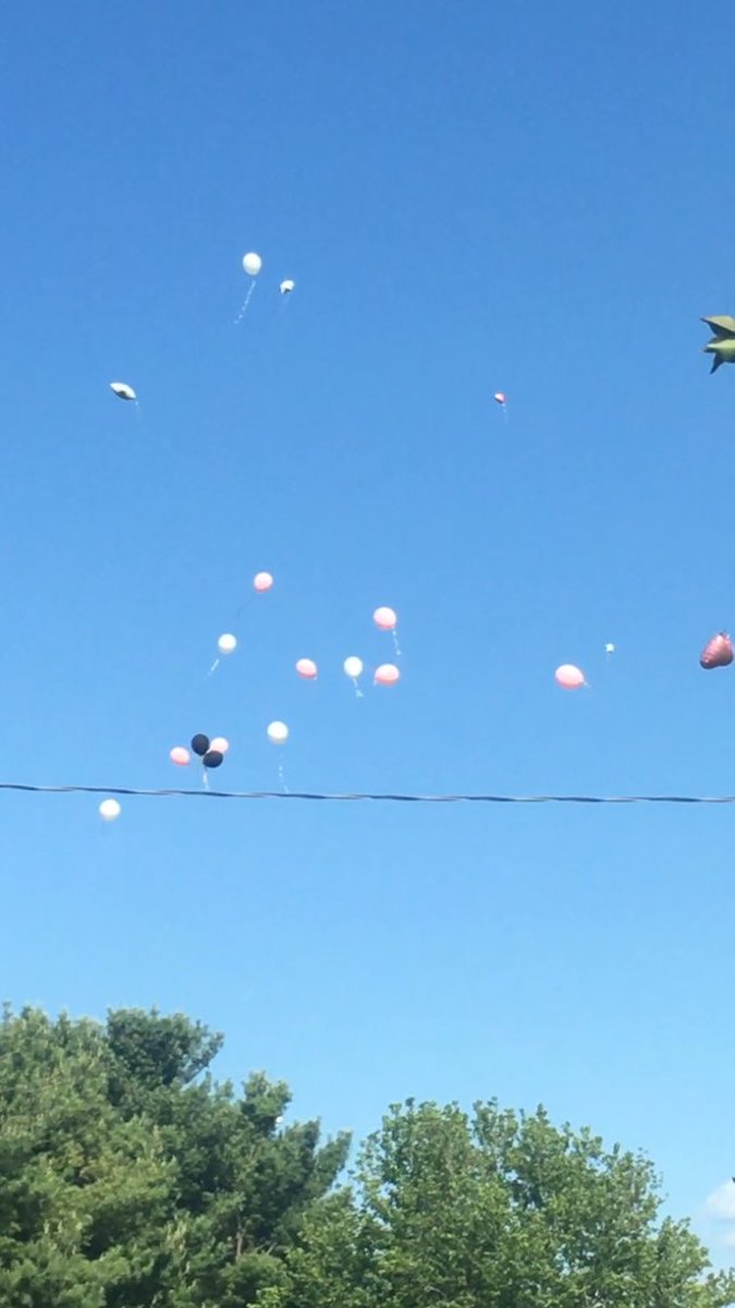 shannon_gerbis's tweet photo. Fly High . #13always https://t.co/ic5lTvHogo