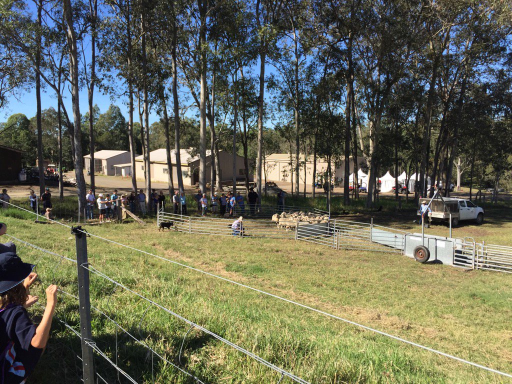 Julie White tweet media