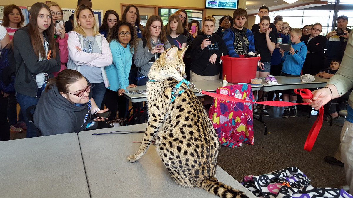 MCCKansasCity's tweet photo. Students enjoyed the visit to MCC-Blue River by https://t.co/SDcrxZHhV4 today! #BeMoreAtMCC https://t.co/nHyVDlF6D0 https://t.co/jyZNLo87Tz