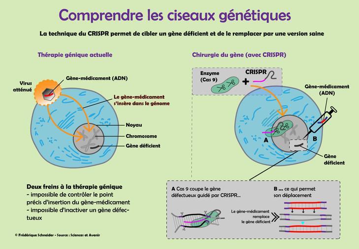 LaCroix's tweet photo. Crispr-Cas9, comment fonctionnent les ciseaux génétiques https://t.co/WV8x77NlRg https://t.co/G5dvFht5fC