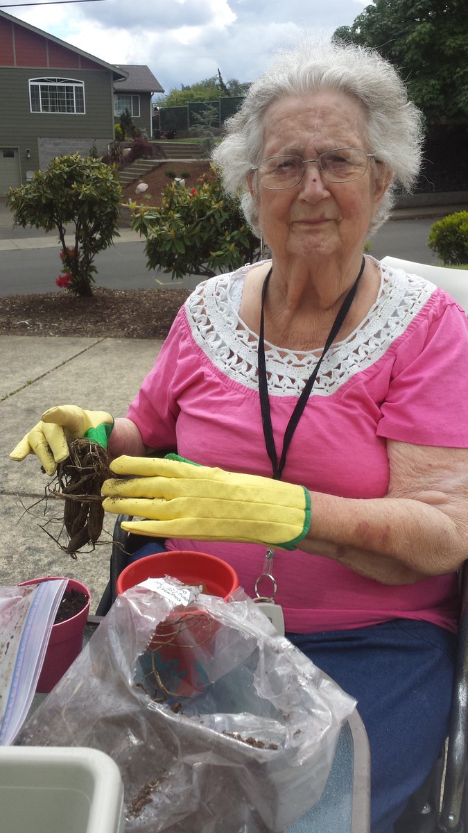 CallahanVillAD's tweet image. Gardening fun! @Callahanvillage #frontierculture #dirtyhands #softsoil