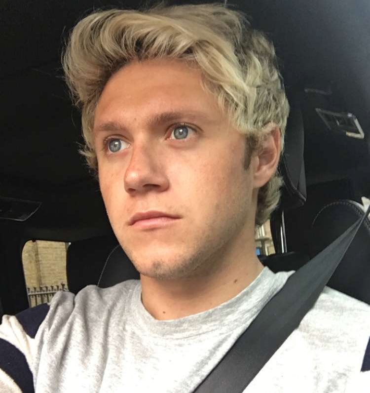 nialllbeingcute's tweet photo. what a cutie https://t.co/7uI5dDlZsx